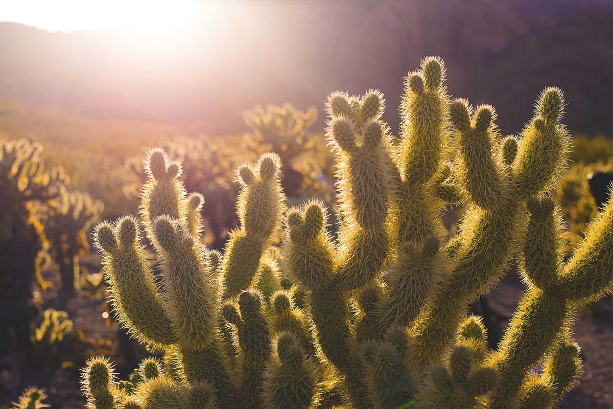 南京有什么大学相关新闻配图
