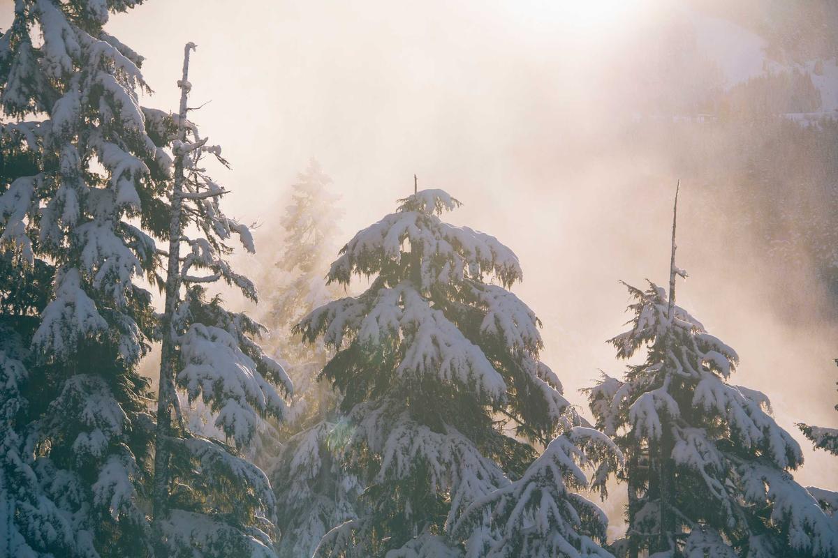 盛世娱乐开奖预测?相关新闻配图