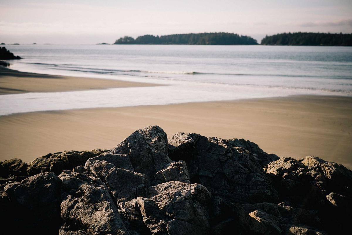 家用缝纫机价格相关新闻配图