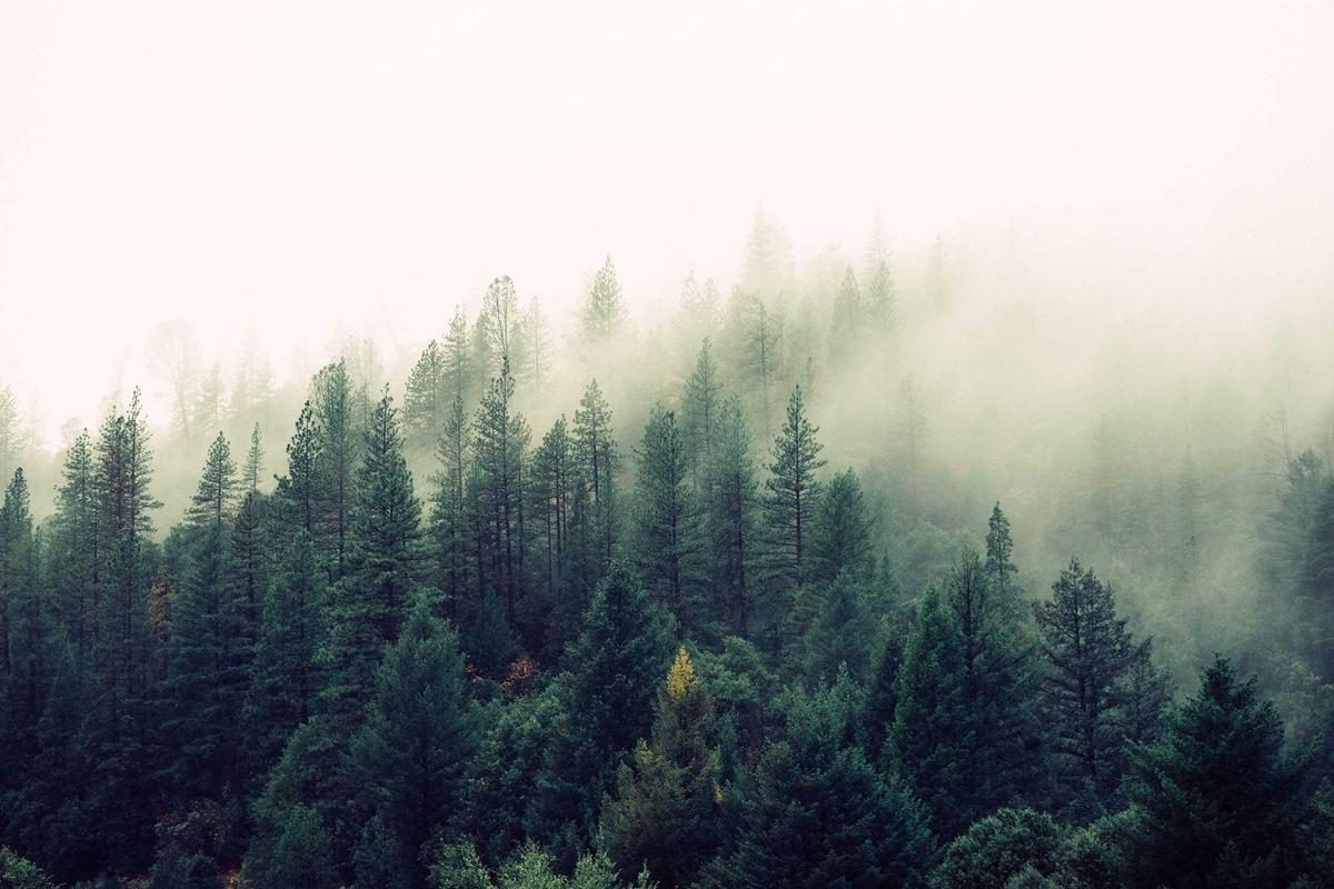 肌肉痛相关新闻配图