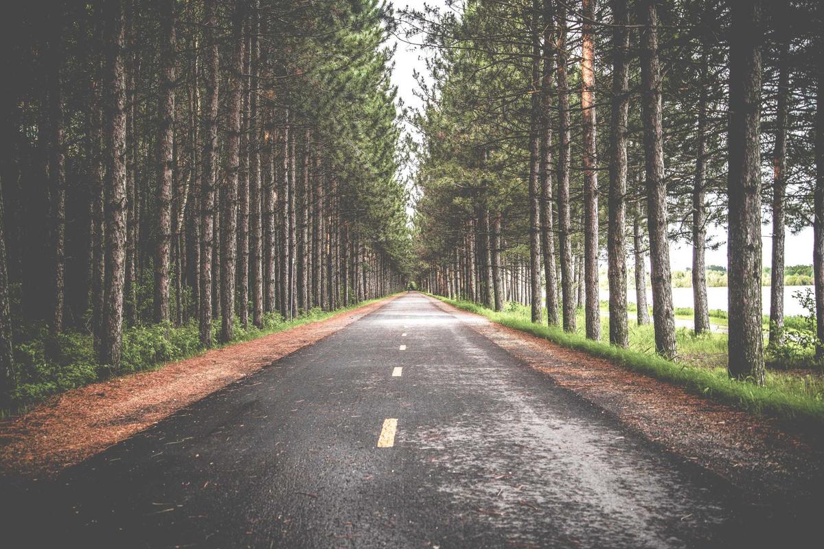 cq9电子开奖预测相关新闻配图